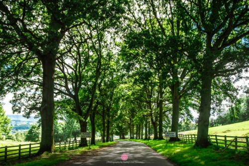 FREERO2019 (36 of 461)