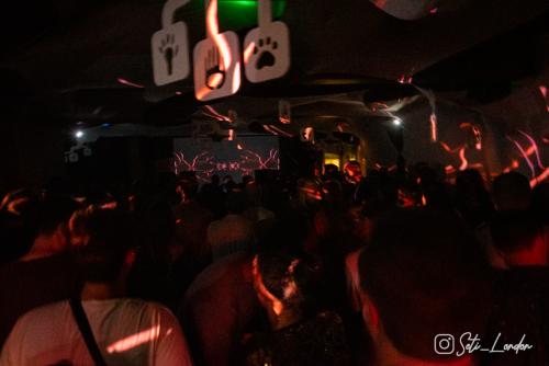 Freero_2022-2521_1200