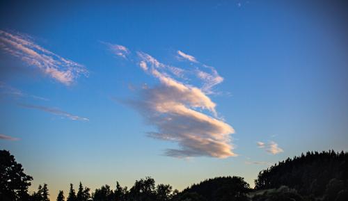 IMG_0503_1200